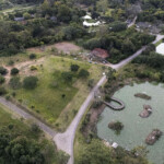 brazil-confirms-country’s-first-bird-flu-outbreak-on-commercial-poultry-farm