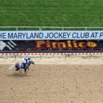 2025-preakness-stakes-picks:-two-long-shots-with-upside-at-pimlico