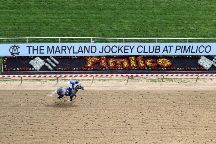 2025-preakness-stakes-picks:-two-long-shots-with-upside-at-pimlico