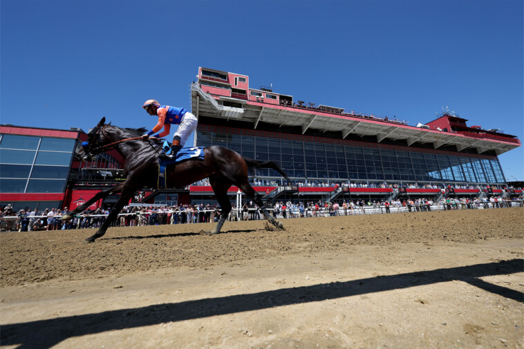 how-to-watch-the-preakness-stakes-2025-live-for-free:-time,-streaming,-odds