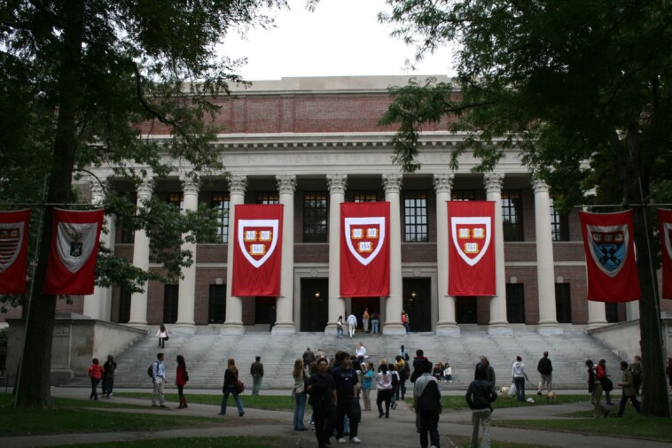 harvard-president-takes-pay-cut-so-school-can-continue-racism-against-whites,-hatred-of-jews