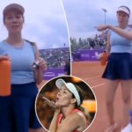 danielle-collins-scolds-cameraman-for-‘wildly-inappropriate’-move