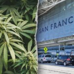 california-woman-allegedly-tried-to-smuggle-151-pounds-of-marijuana-onto-international-flight