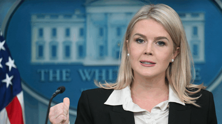trump-has-not-directed-admin-to-declassify-biden-docs-on-health-‘cover-up’