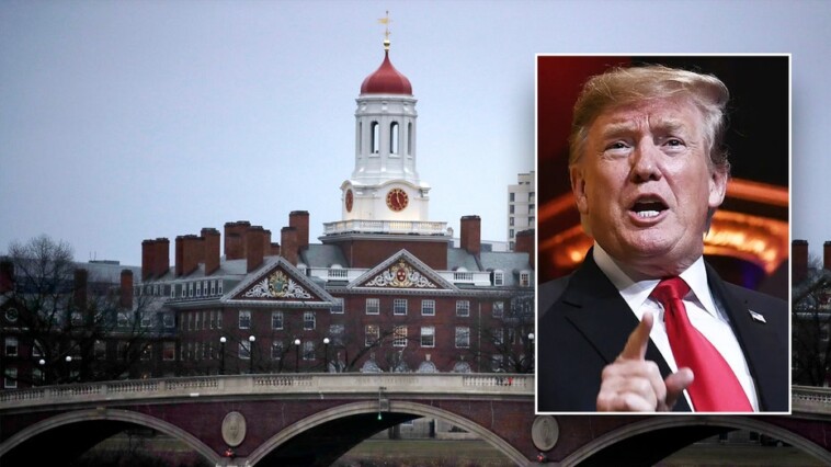 federal-judge-blocks-trump-administration-from-terminating-international-students’-legal-status