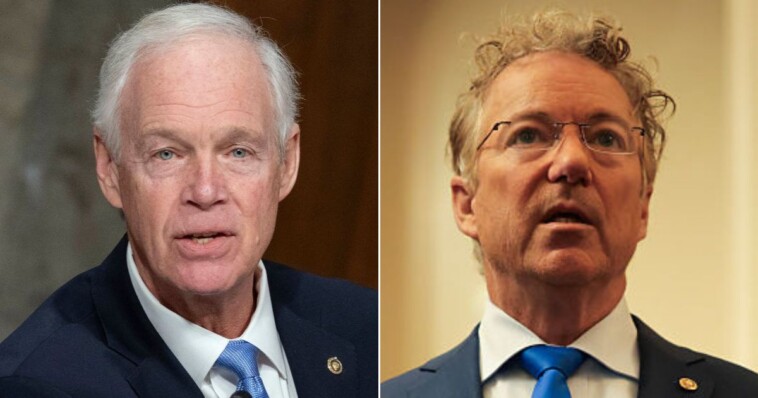 ‘big,-beautiful-bill’-immediately-runs-into-trouble-in-senate-after-squeaking-through-house