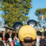 disney-lays-off-45-venezuelan-employees-after-trump-cancels-protected-immigration-status