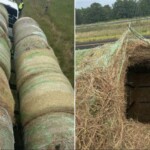 alleged-human-smugglers-arrested-in-texas-after-hiding-migrants-inside-hollowed-hay-bales