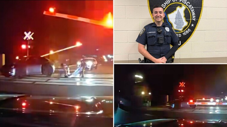 dramatic-video-shows-hero-cops-drag-dazed-driver-from-car-before-train-smashes-into-it
