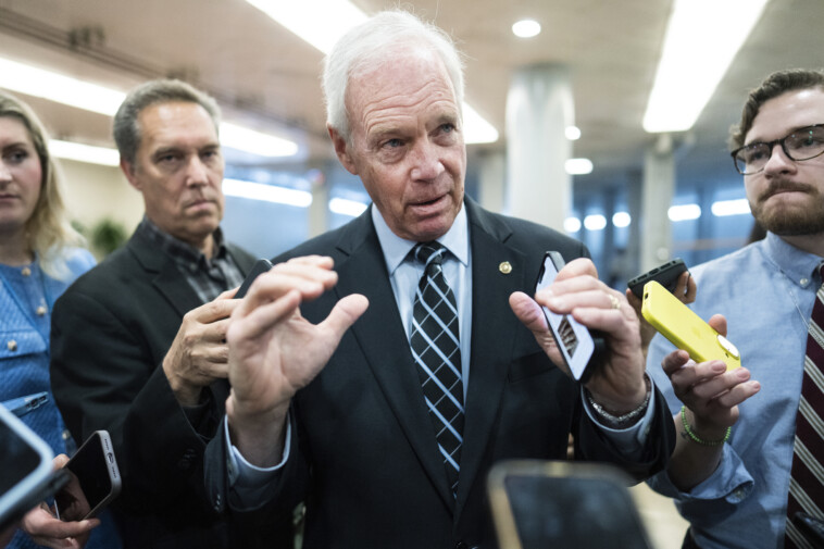 republicans-lack-the-votes-in-the-senate-to-pass-trump’s-‘big,-beautiful-bill,’-sen.-ron-johnson-warns