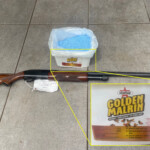 fla.-fisherman-imprisoned-for-shooting,-poisoning-dolphins-in-front-of-kids