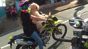 daredevil-fined-for-taking-dog-on-wild-motorbike-ride:-‘apply-a-paws-off-approach’