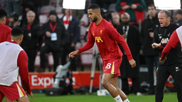 transfer-rumors,-news:-liverpool’s-gakpo-on-bayern-shortlist