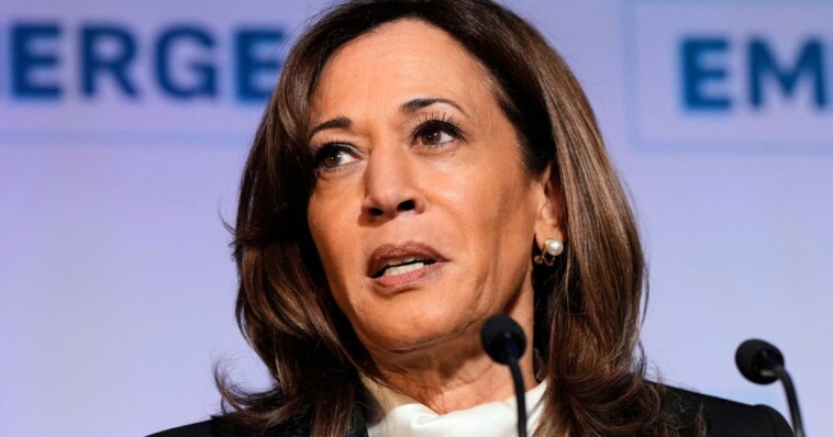 kamala-harris’-grand-political-comeback-plans-already-backfiring:-report