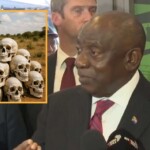 south-african-president-says-skulls-of-murdered-white-farmers-just-halloween-decorations
