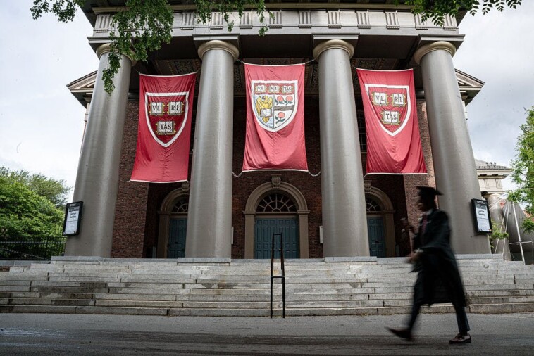 trump-gives-deadline-for-federal-agencies-to-cancel-harvard-contracts
