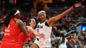 wnba-can’t-verify-hateful-comments-toward-reese