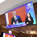 who.-to-fly-palestinian-flag-while-sidelining-taiwan,-first-nation-to-warn-of-coronavirus-pandemic