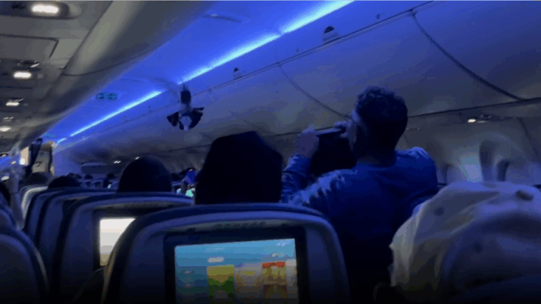 delta-fight-disrupted-by-pigeon-flying-around-inside-cabin,-video-shows