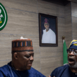 nigeria-to-commission-two-major-lithium-plants-from-china-worth-$800-million
