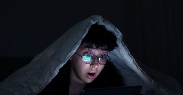 eu-opens-investigation-of-pornhub-over-alleged-failure-to-protect-minors