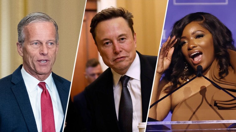 ‘american-hero’-or-‘failure’:-elon-musk’s-doge-departure-divides-capitol-hill