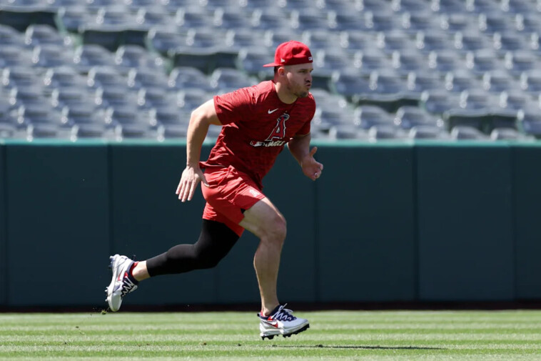 angels-activate-mike-trout-from-il-after-he-was-sidelined-for-1-month-with-left-knee-injury