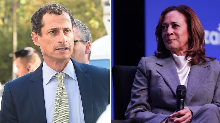 disgraced-democrat-anthony-weiner-roasts-kamala-harris-for-blowing-up-her-campaign-on-‘the-view’