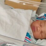 huge-twist-in-tragic-case-involving-pit-bull-and-dead-infant:-medical-examiner