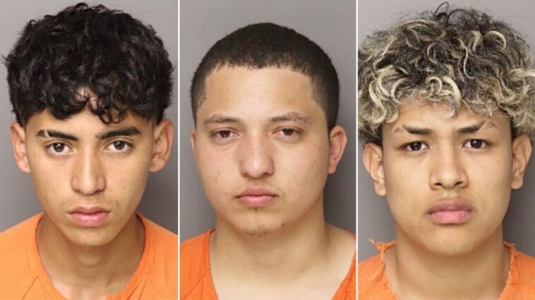 six-migrants-charged-in-sc-mom’s-murder-detailed-crime-in-eerie-messages:-‘just-the-beginning’