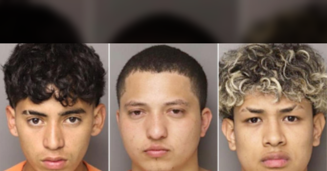 former-ag:-chilling-texts-between-6-illegals-after-alleged-murder-of-sc-mom-show-‘no-remorse’
