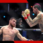 how-much-are-tickets-for-ufc-316-o’malley-dvalishvili-at-prudential-center?