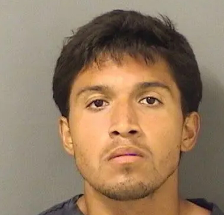 man-arrested-for-jumping-over-president-trump’s-mar-a-lago-wall