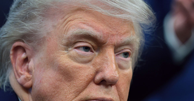 trump-talks-with-putin:-‘not-a-conversation-that-will-lead-to-immediate-peace’