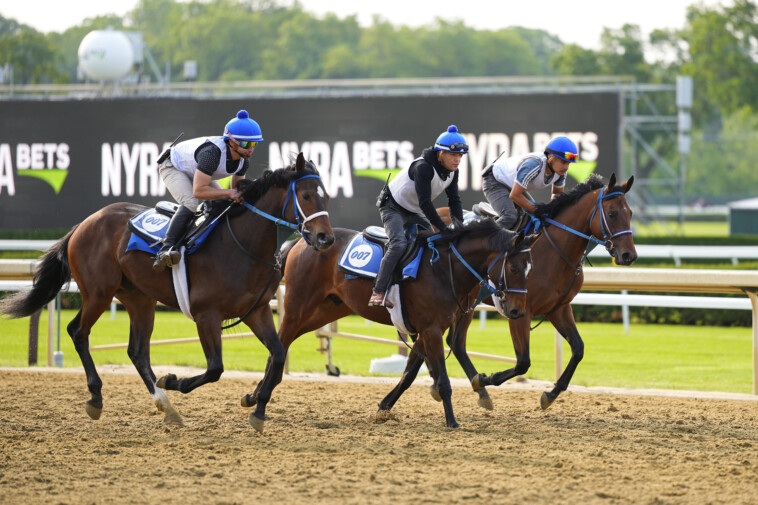 two-long-shot-picks-to-win-the-2025-belmont-stakes