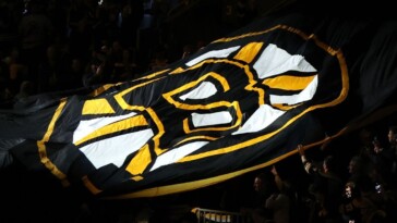 bruins-turn-to-ex-forward-sturm-as-head-coach