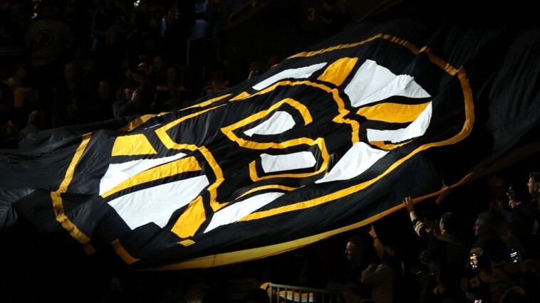 bruins-turn-to-ex-forward-sturm-as-head-coach