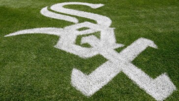 ishbia-in-line-to-take-over-chisox-from-reinsdorf