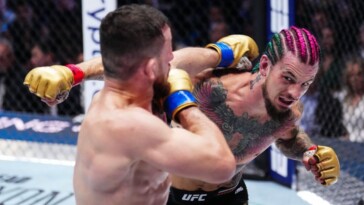 ufc-316-expert-picks,-best-bets:-how-can-o’malley-take-back-dvalishvili’s-title?