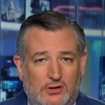 cruz:-the-democratic-party-is-the-‘party-that-embraces-violence’