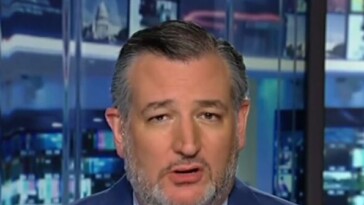 cruz:-the-democratic-party-is-the-‘party-that-embraces-violence’