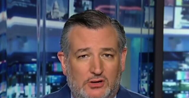 cruz:-the-democratic-party-is-the-‘party-that-embraces-violence’