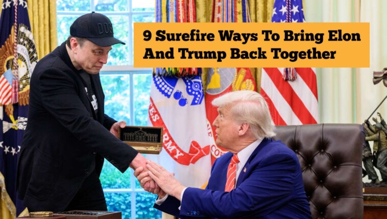 9-surefire-ways-to-bring-trump-and-elon-back-together