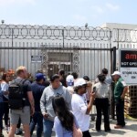anti-ice-activist-run-over-as-protests-over-raids-get-ugly