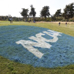 schools-can-now-directly-pay-college-athletes-after-landmark-$2.8-billion-settlement
