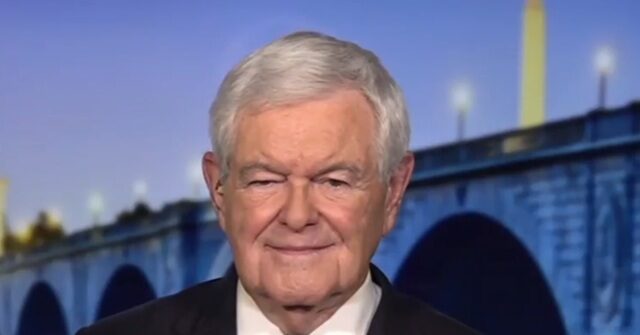 gingrich-on-trump-musk-feud:-‘this-is-the-soap-opera-phase-of-american-politics’