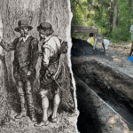 mystery-of-america’s-‘lost-colony’-may-finally-be-solved-after-440-years,-archaeologists-say