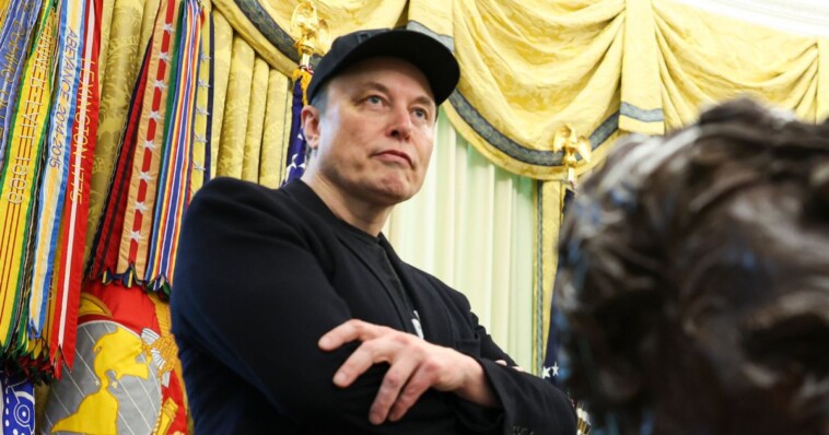 betting-odds-that-musk-forms-new-political-party-skyrocket