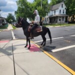hero-on-horseback-helps-nj-cops-nab-hit-and-run-driver:-‘ultimately-solved-the-case’