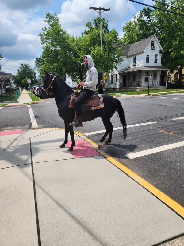 hero-on-horseback-helps-nj-cops-nab-hit-and-run-driver:-‘ultimately-solved-the-case’